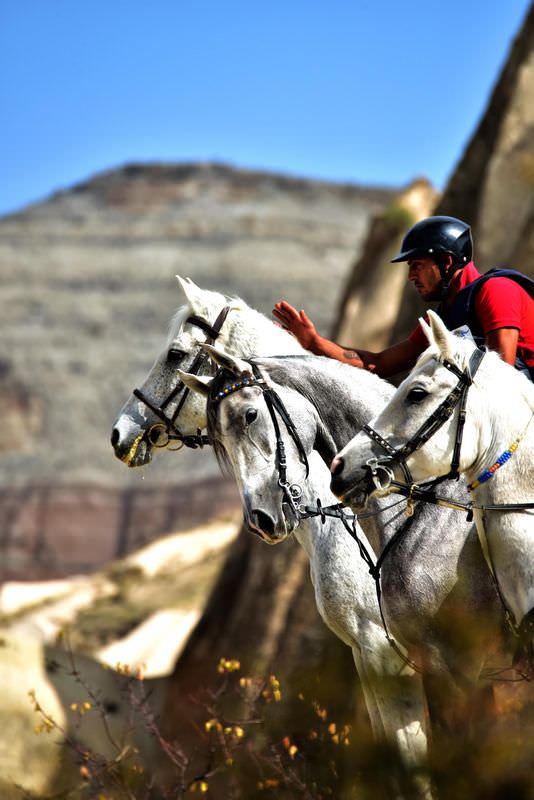 Kapadokya vadilerini at sırtında geziyorlar