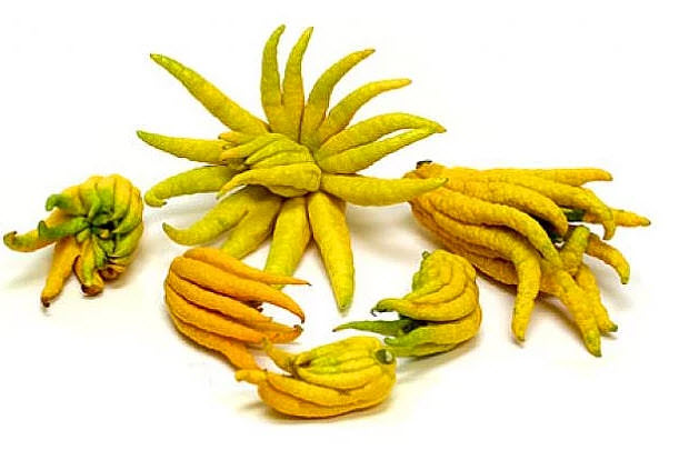 Dünyanın en ilginç 10 meyvesi