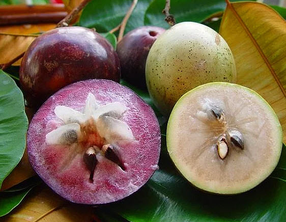 Dünyanın en ilginç 10 meyvesi