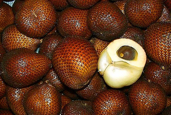 Dünyanın en ilginç 10 meyvesi