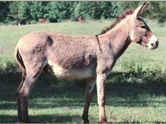 İşte o deyimlerin ilginç hikayeleri
