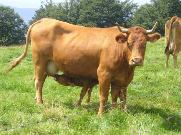 İşte o deyimlerin ilginç hikayeleri