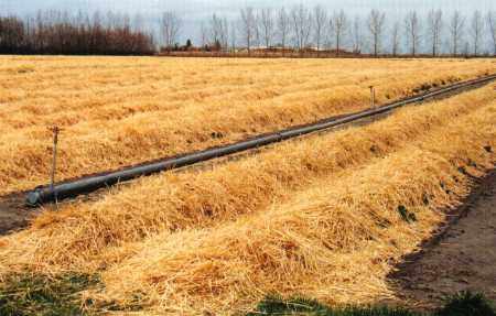 İşte o deyimlerin ilginç hikayeleri