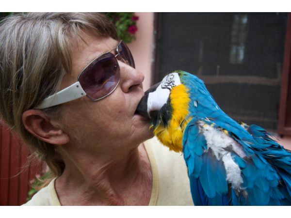 İşte o deyimlerin ilginç hikayeleri