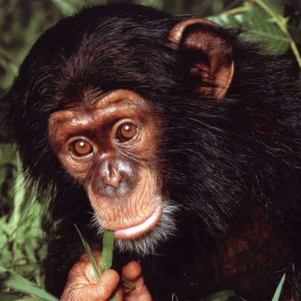 İşte o deyimlerin ilginç hikayeleri