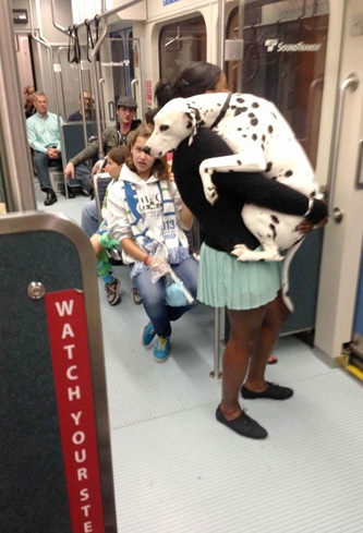 Metronun en garip insanları