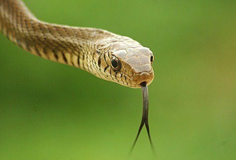 İşte o deyimlerin ilginç hikayeleri