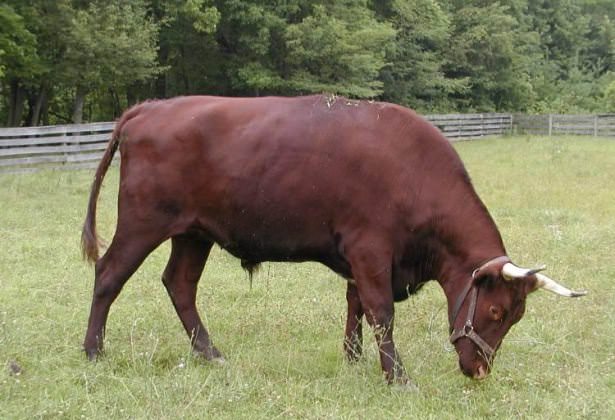 İşte o deyimlerin ilginç hikayeleri