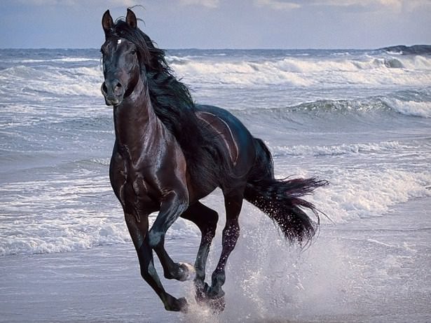 İşte o deyimlerin ilginç hikayeleri