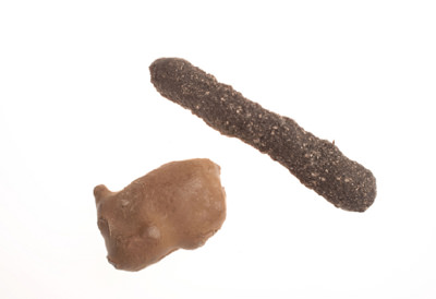 Savaşın casus oyuncakları