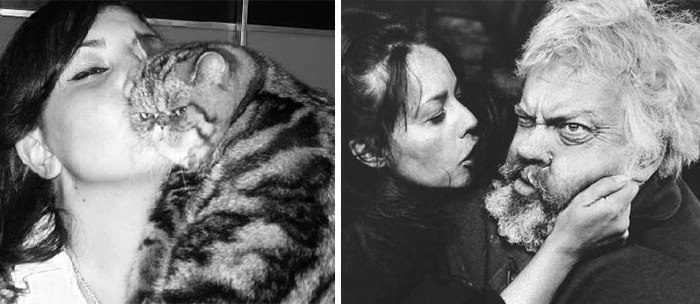 Kedilerin taklit yetenekleri