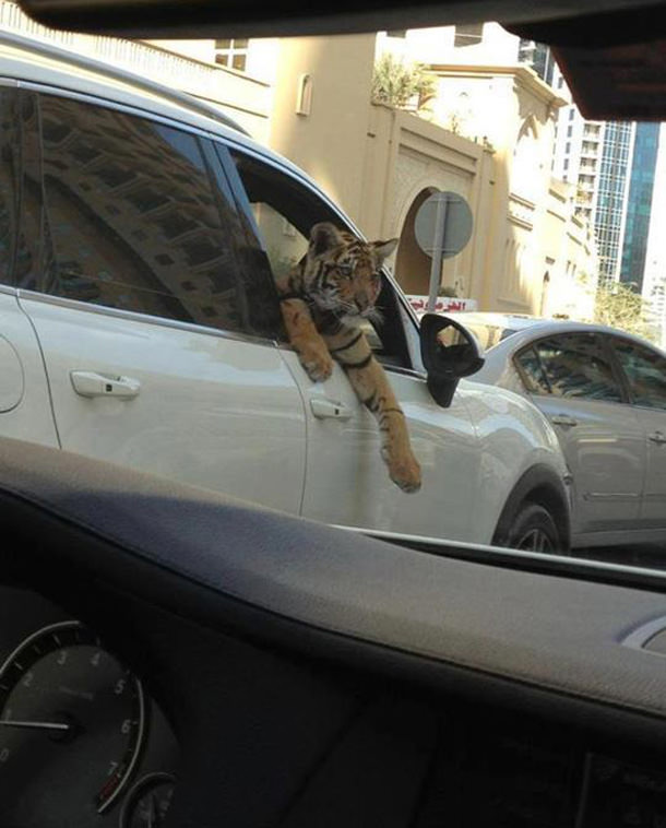 Dubai’de olmanın anlamı