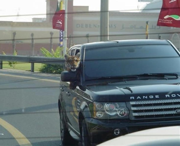 Dubai’de olmanın anlamı