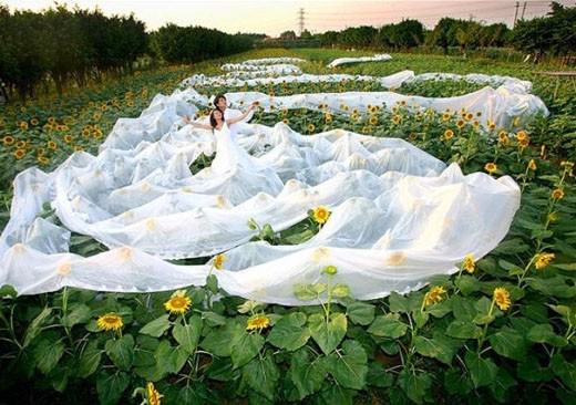 En komik düğün fotoğrafları!