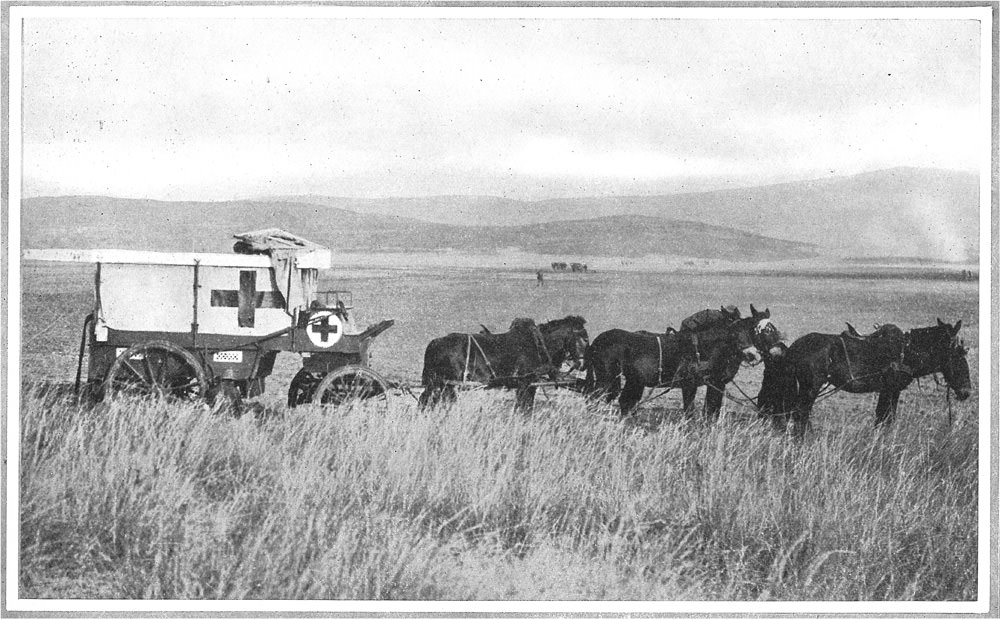 Vatikan arşivlerinden Çanakkale