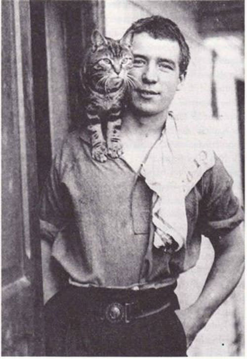 Bilim dünyasının en önemli 12 kedisi