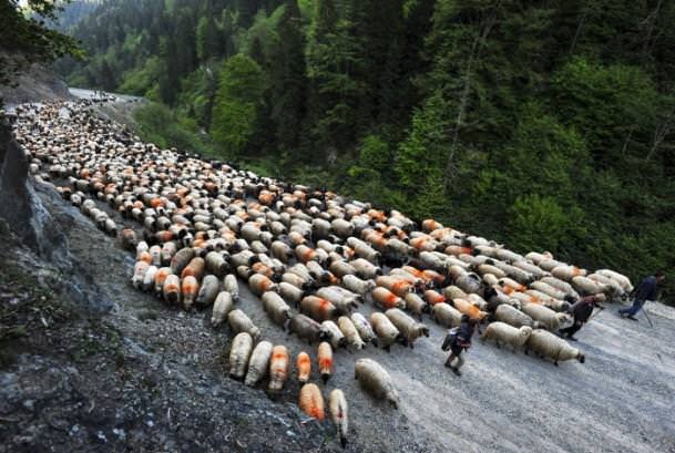 Anadolu Ajansı'ndan 2014 yılının en iyi fotoğrafları