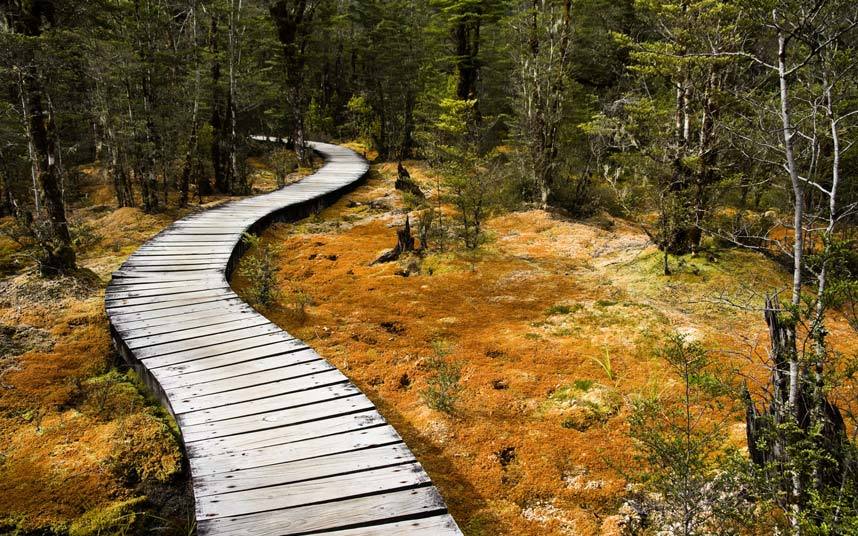 Yeni Zelanda'ya gitmek için nedenlerimiz çok!