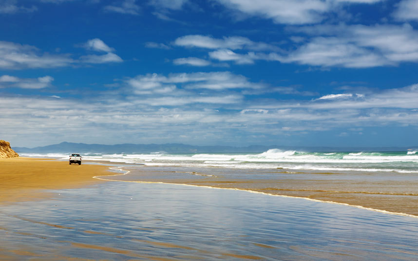 Yeni Zelanda'ya gitmek için nedenlerimiz çok!