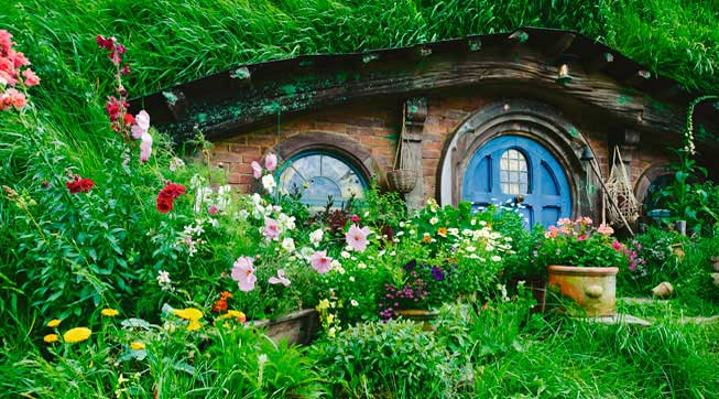 Yeni Zelanda'ya gitmek için nedenlerimiz çok!