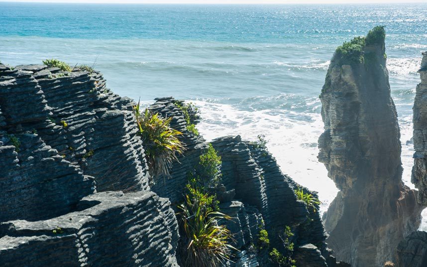 Yeni Zelanda'ya gitmek için nedenlerimiz çok!