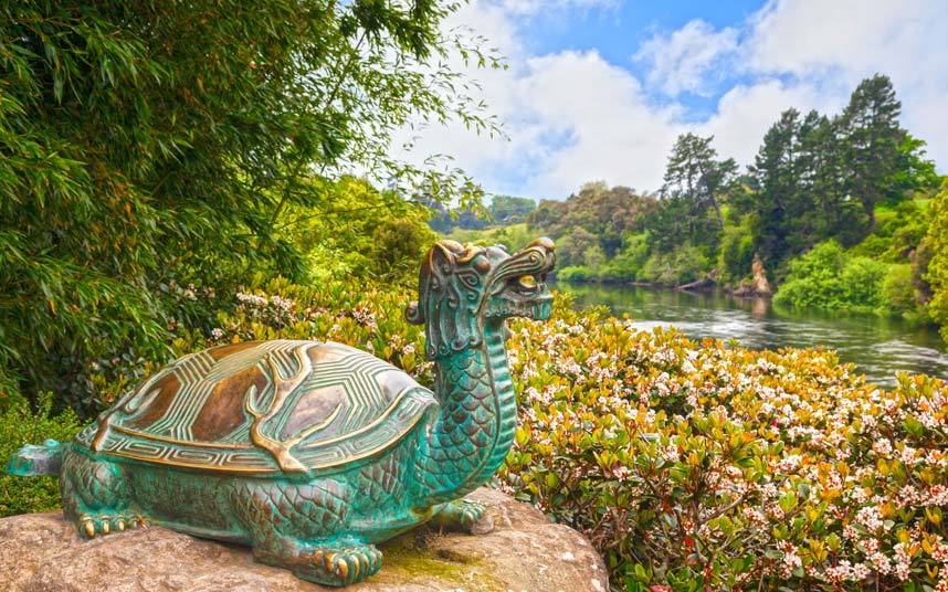 Yeni Zelanda'ya gitmek için nedenlerimiz çok!