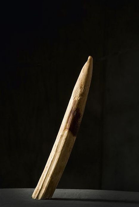 Fransa’nın son celladı