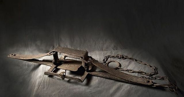 Fransa’nın son celladı