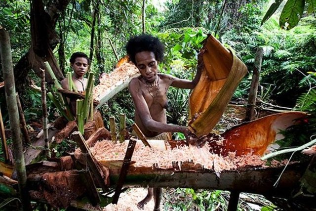 Halen hayatta olan kabileler