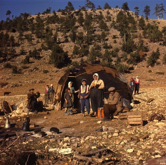 Halen hayatta olan kabileler