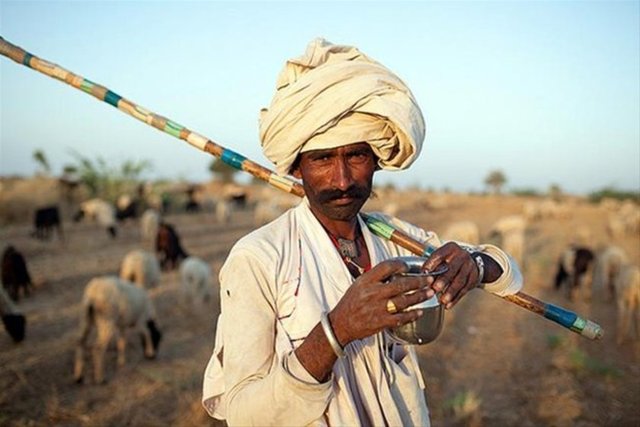 Halen hayatta olan kabileler