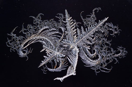 2014 National Geographic fotoğraf yarışması sonuçlandı