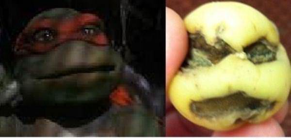 İnanılmaz görüntü yanılsamaları