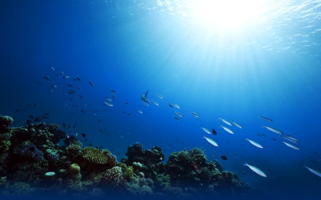 Türkler bu kıtadan mı geliyor?