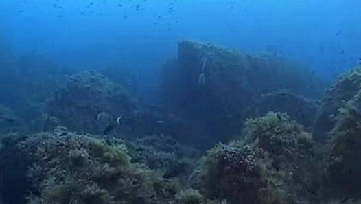 Türkler bu kıtadan mı geliyor?