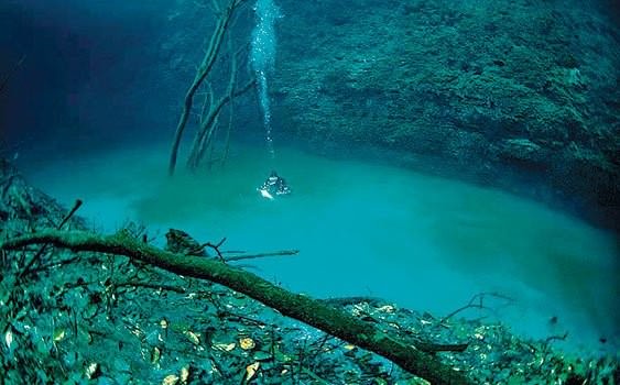 Türkler bu kıtadan mı geliyor?