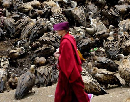 Akıl almaz gelenek!