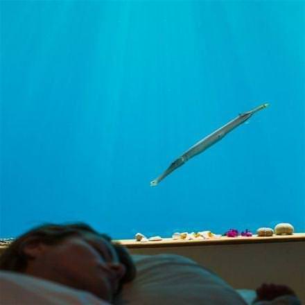 Denizin ortasında göz kamaştıran yapı