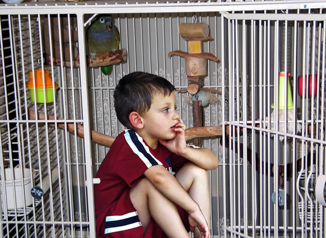 İnanılmaz yaşam hikayeleri