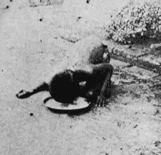 İnanılmaz yaşam hikayeleri