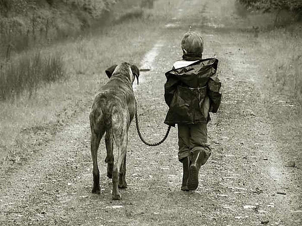 İnanılmaz yaşam hikayeleri