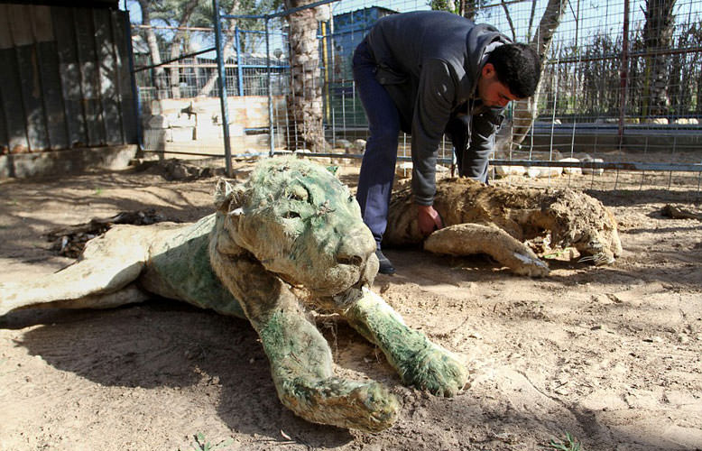 En korkunç hayvanat bahçesi