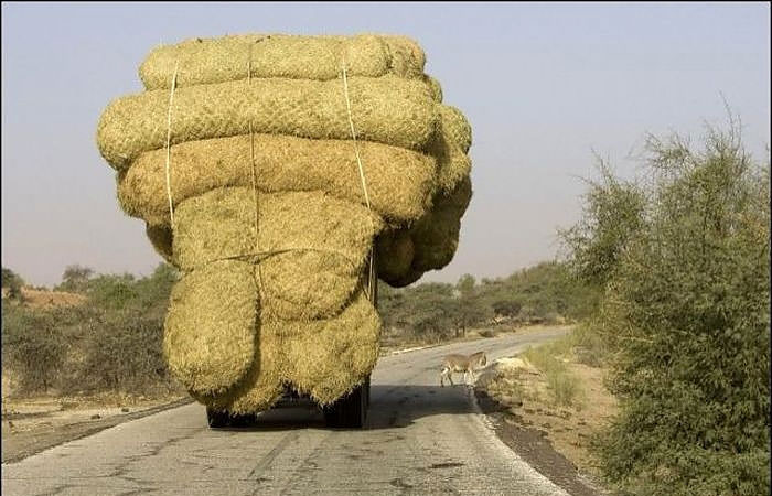 Ulaşım ve taşımacılıkta son nokta