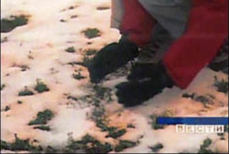 Dünya'nın garip gerçekleri