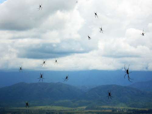 Dünya'nın garip gerçekleri