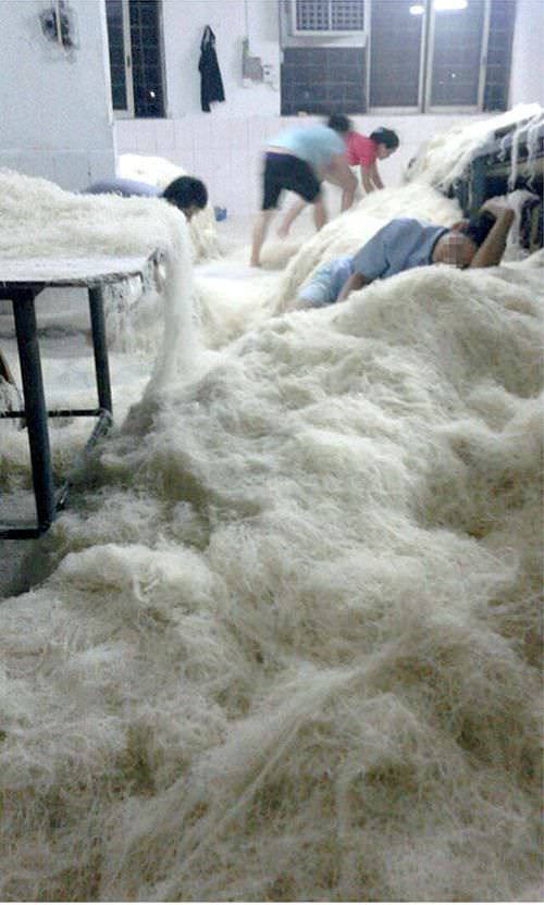 Dünya'nın garip gerçekleri