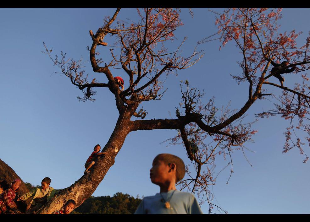Nagalar'ın günlük hayatı