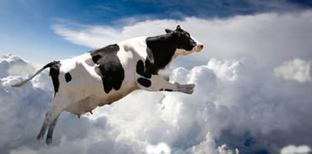 Dünya'nın garip gerçekleri