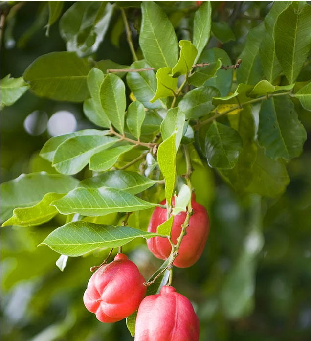 Ölmeden önce mutlaka yaşamanız gereken deneyimler