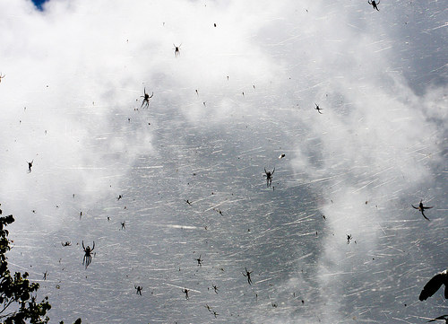 Dünya'nın garip gerçekleri